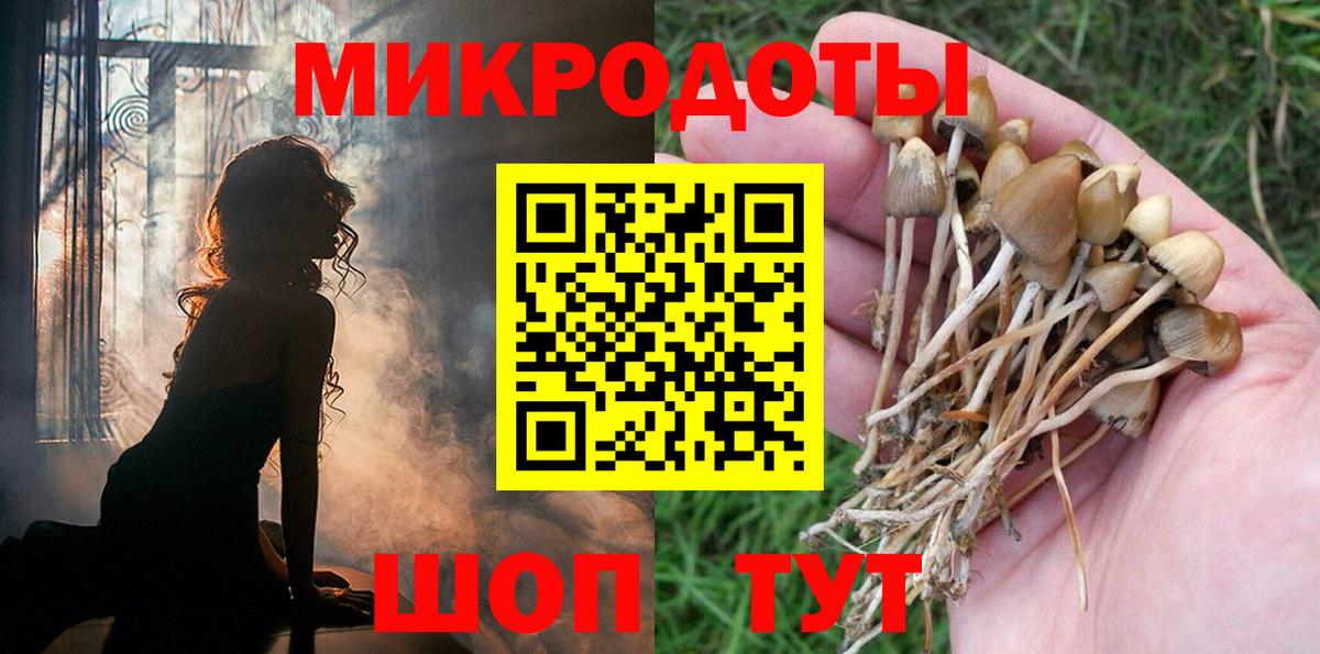 Псилоцибиновые грибы MAGIC MUSHROOMS Сибай