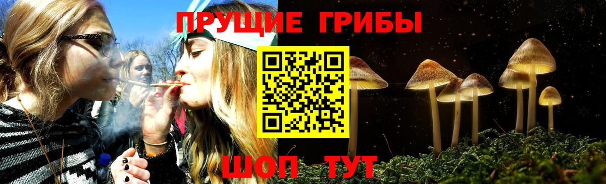 Псилоцибиновые грибы Cubensis  Вход с VPN  Сибай  Галлюциногенные грибы Cubensis 